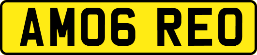AM06REO