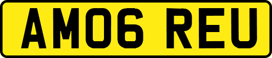 AM06REU