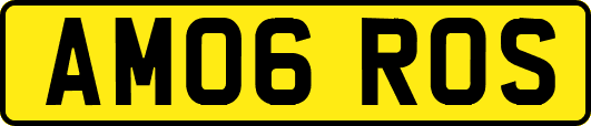 AM06ROS