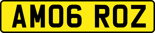 AM06ROZ