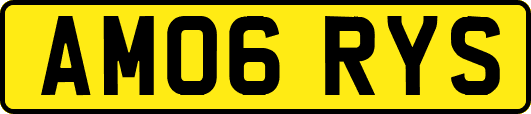 AM06RYS