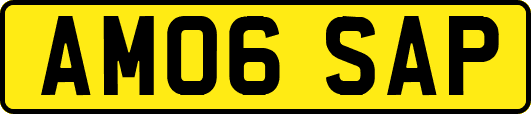 AM06SAP