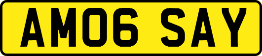 AM06SAY
