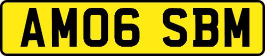 AM06SBM