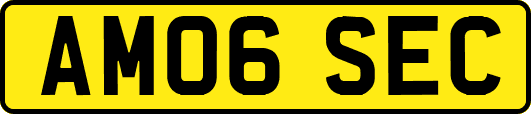 AM06SEC