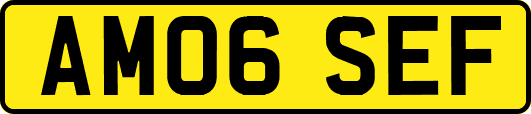 AM06SEF