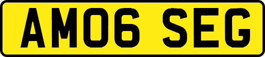AM06SEG