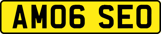 AM06SEO