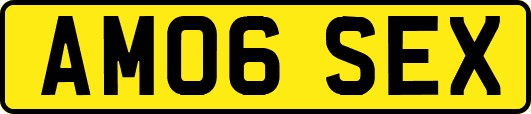 AM06SEX