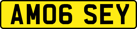 AM06SEY