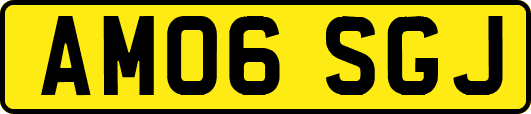 AM06SGJ