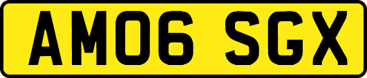AM06SGX