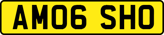 AM06SHO