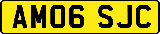 AM06SJC