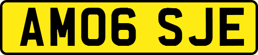 AM06SJE