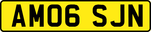 AM06SJN