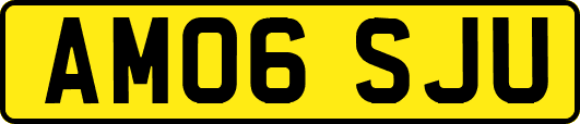 AM06SJU