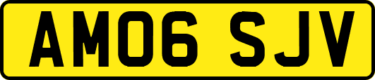 AM06SJV