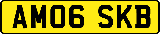 AM06SKB