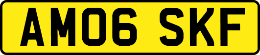 AM06SKF
