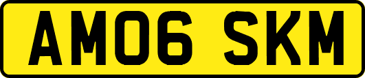 AM06SKM