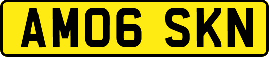 AM06SKN