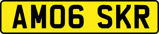 AM06SKR