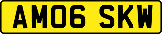 AM06SKW