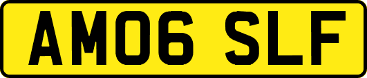 AM06SLF