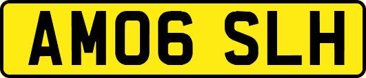 AM06SLH