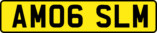 AM06SLM