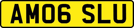 AM06SLU