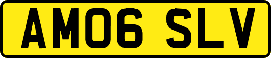 AM06SLV