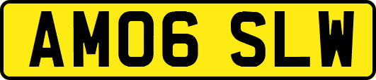 AM06SLW