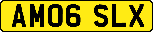 AM06SLX