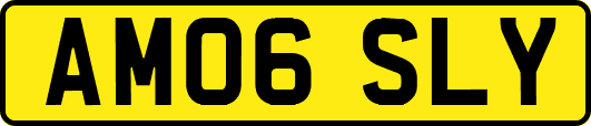 AM06SLY