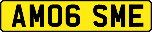 AM06SME