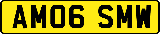AM06SMW