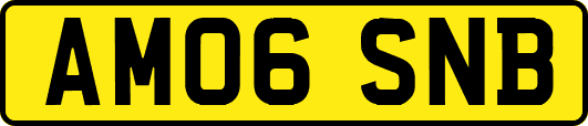 AM06SNB
