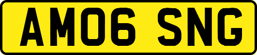 AM06SNG