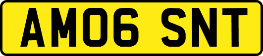 AM06SNT