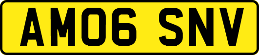 AM06SNV