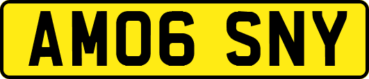 AM06SNY