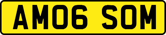 AM06SOM