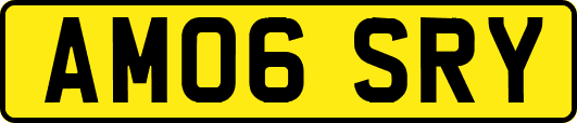 AM06SRY