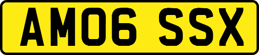 AM06SSX