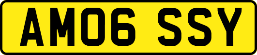 AM06SSY