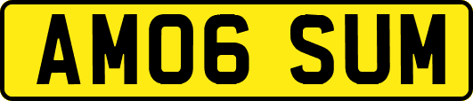 AM06SUM
