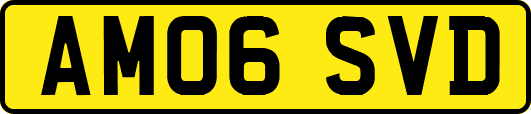 AM06SVD