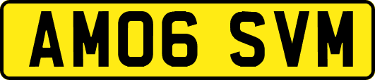 AM06SVM